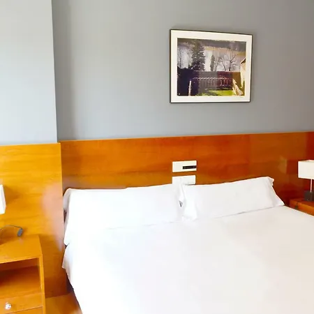 Hotel Alda Ciudad De 3*